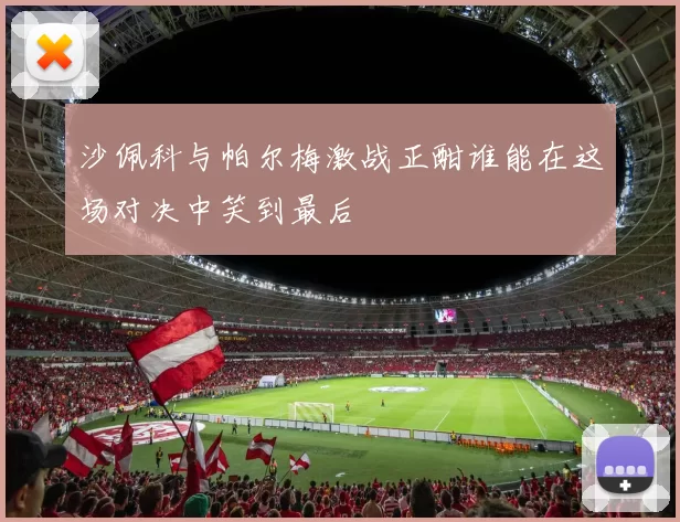 沙佩科与帕尔梅激战正酣谁能在这场对决中笑到最后