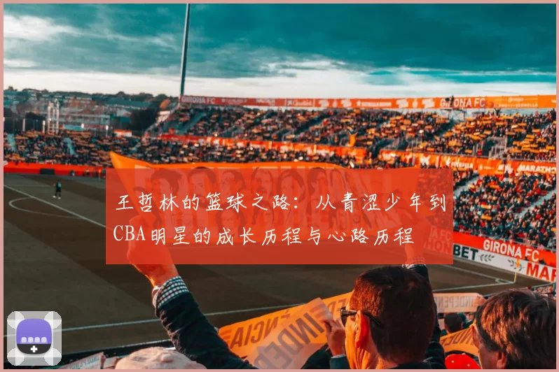 王哲林的篮球之路：从青涩少年到CBA明星的成长历程与心路历程