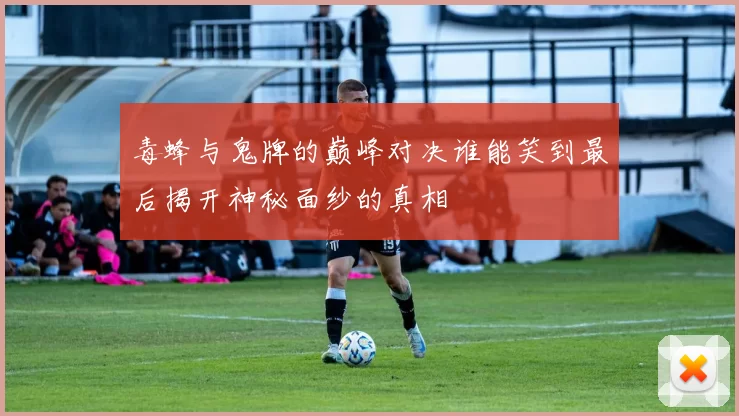 毒蜂与鬼牌的巅峰对决谁能笑到最后揭开神秘面纱的真相