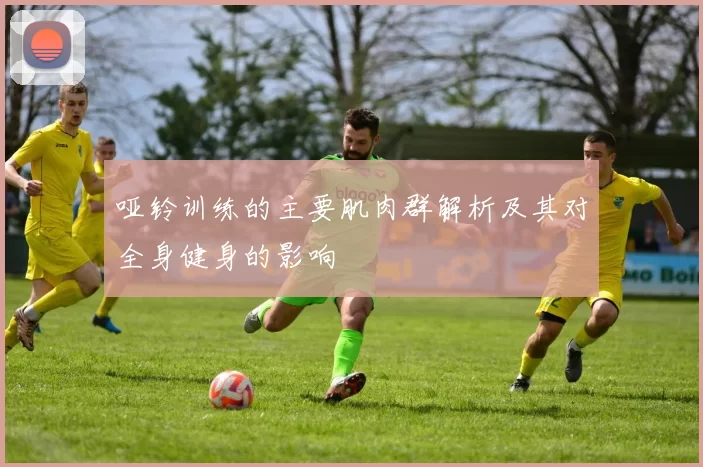 哑铃训练的主要肌肉群解析及其对全身健身的影响